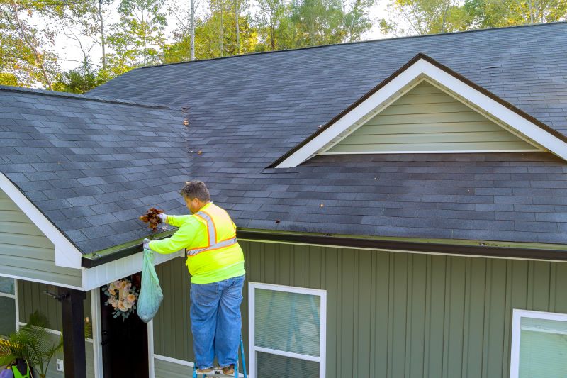 Roof Maintenance in Mild Seasons